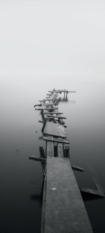 lake, bridges, fog Wallpaper 720x1600
