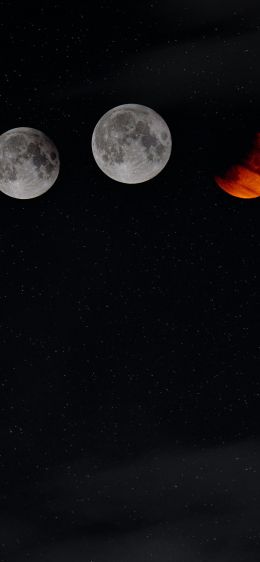 moon, starry sky Wallpaper 828x1792