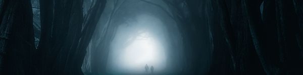 fog, forest trail Wallpaper 1590x400