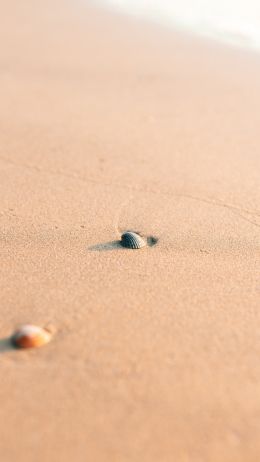 shell, sand Wallpaper 1080x1920