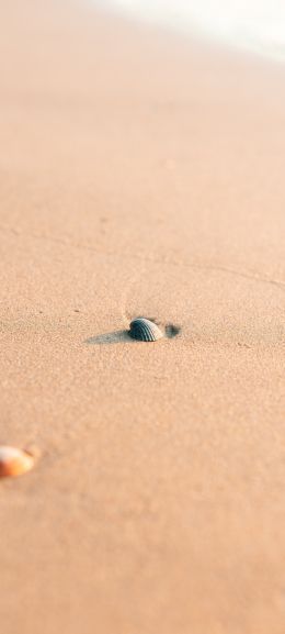 shell, sand Wallpaper 1080x2400