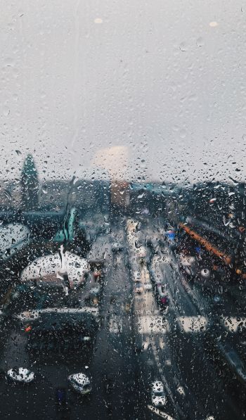 rain, drops Wallpaper 600x1024