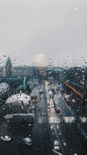 rain, drops Wallpaper 1440x2560