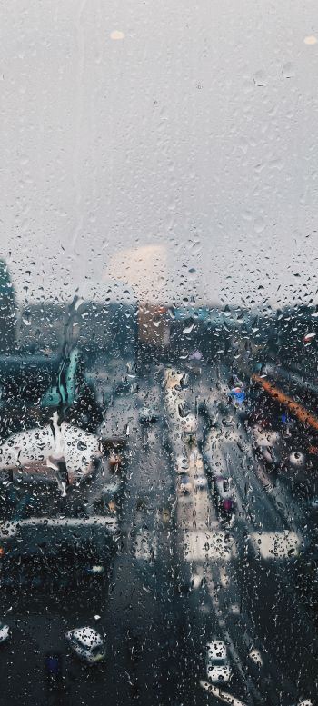 rain, drops Wallpaper 1440x3200