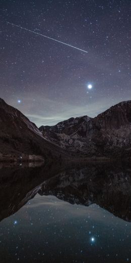 starry sky, night, lake Wallpaper 720x1440