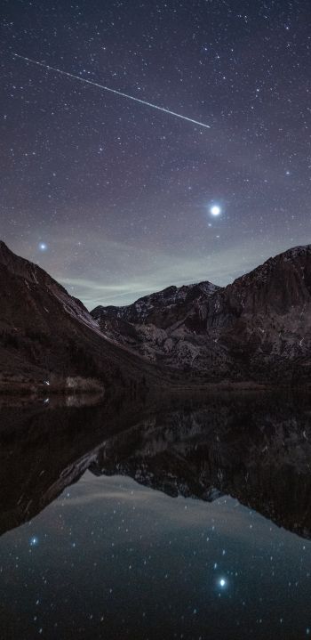 starry sky, night, lake Wallpaper 1440x2960