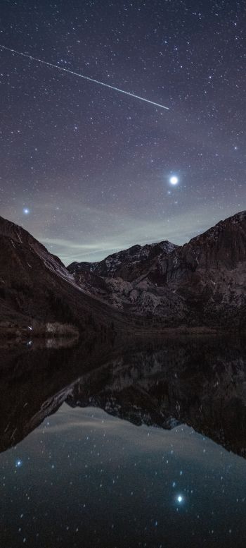 starry sky, night, lake Wallpaper 1440x3200
