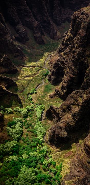 gorge, mountains, bird's eye view Wallpaper 1440x2960