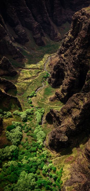 gorge, mountains, bird's eye view Wallpaper 1080x2280