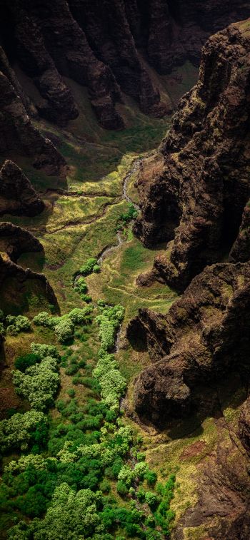 gorge, mountains, bird's eye view Wallpaper 1125x2436