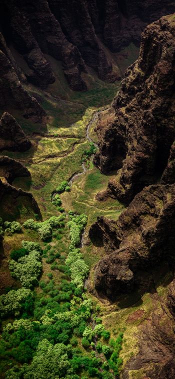 gorge, mountains, bird's eye view Wallpaper 1080x2340