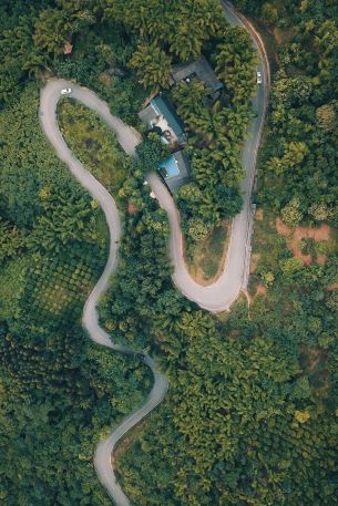 road, bird's eye view Wallpaper 640x960