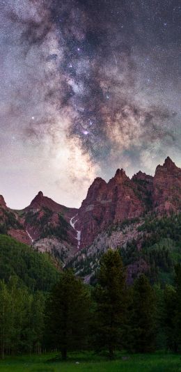 milky way, mountains, forest Wallpaper 1080x2220