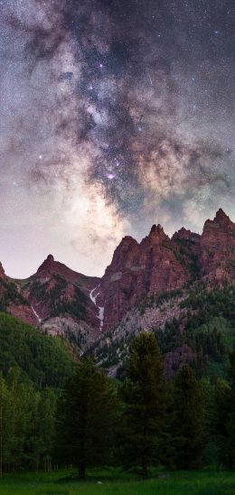 milky way, mountains, forest Wallpaper 1080x2280