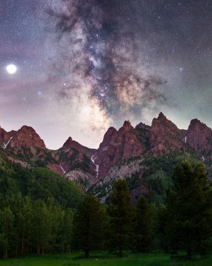 milky way, mountains, forest Wallpaper 3999x4999