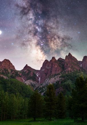 milky way, mountains, forest Wallpaper 1640x2360