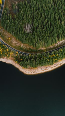 shore, lake, forest Wallpaper 640x1136