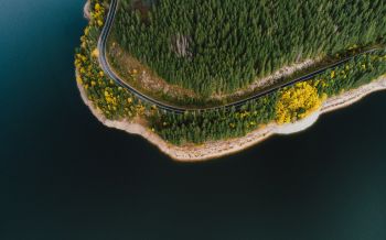 shore, lake, forest Wallpaper 2560x1600