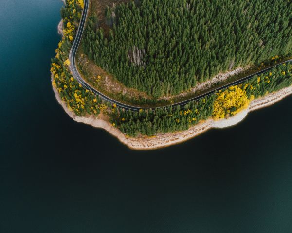 shore, lake, forest Wallpaper 1280x1024