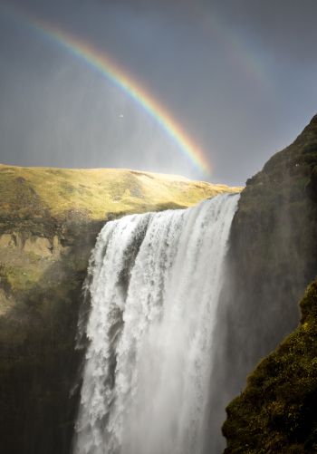 Skogafoss waterfall, Iceland, rainbow Wallpaper 1668x2388