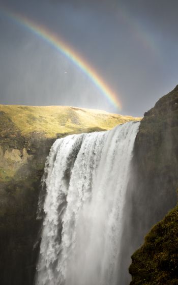 Skogafoss waterfall, Iceland, rainbow Wallpaper 1600x2560
