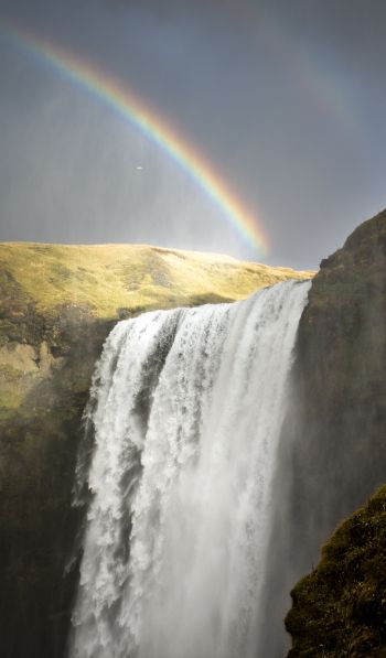 Skogafoss waterfall, Iceland, rainbow Wallpaper 600x1024