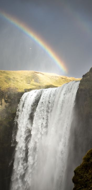Обои 1440x2960 водопад Скоугафосс, Исландия, радуга