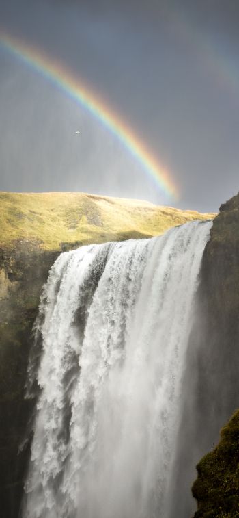 Обои 1242x2688 водопад Скоугафосс, Исландия, радуга