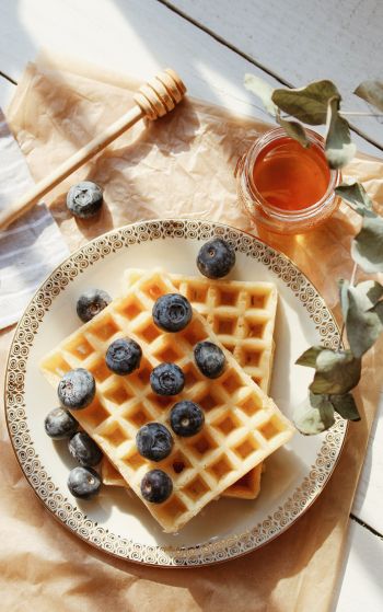 waffles, berries, honey Wallpaper 1752x2800
