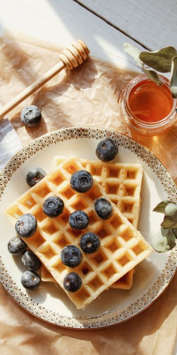 waffles, berries, honey Wallpaper 720x1440