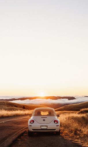 Mount Tamalpais, California, USA Wallpaper 1200x2000