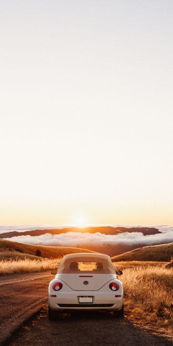 Mount Tamalpais, California, USA Wallpaper 720x1440
