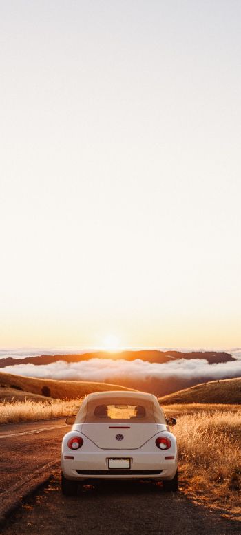Mount Tamalpais, California, USA Wallpaper 1080x2400