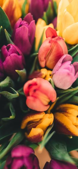 tulips, bright Wallpaper 1080x2340