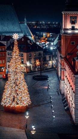 Christmas tree, night, night city, New Year Wallpaper 640x1136