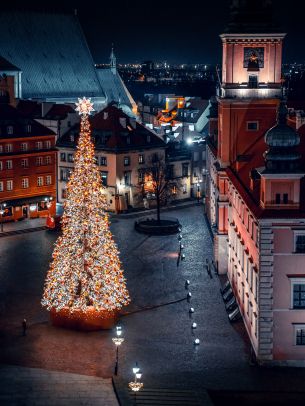 Christmas tree, night, night city, New Year Wallpaper 2048x2732