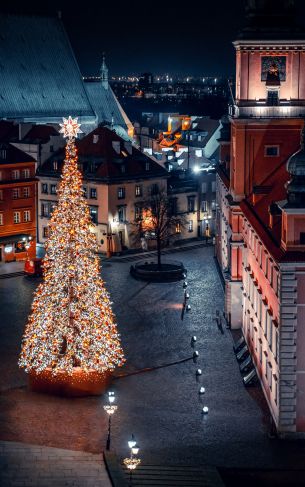 Christmas tree, night, night city, New Year Wallpaper 1752x2800