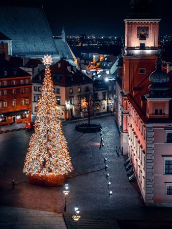 Christmas tree, night, night city, New Year Wallpaper 1536x2048