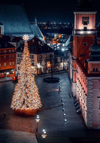 Christmas tree, night, night city, New Year Wallpaper 1668x2388