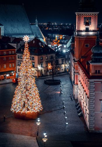 Christmas tree, night, night city, New Year Wallpaper 1640x2360