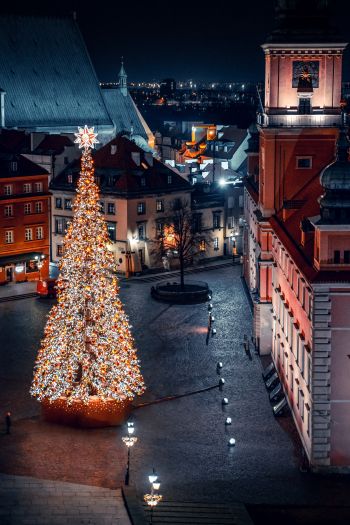 Christmas tree, night, night city, New Year Wallpaper 640x960