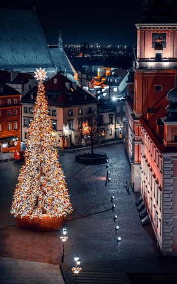 Christmas tree, night, night city, New Year Wallpaper 800x1280