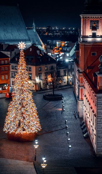 Christmas tree, night, night city, New Year Wallpaper 600x1024