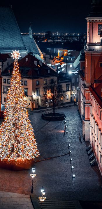 Christmas tree, night, night city, New Year Wallpaper 1080x2220