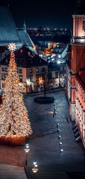 Christmas tree, night, night city, New Year Wallpaper 1080x2280
