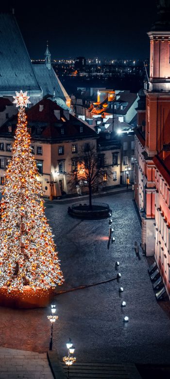 Christmas tree, night, night city, New Year Wallpaper 720x1600