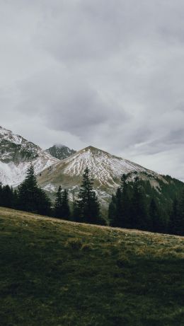 mountain, peak, forest, snow, trees, calm, pacification Wallpaper 640x1136