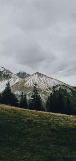 mountain, peak, forest, snow, trees, calm, pacification Wallpaper 1440x3040