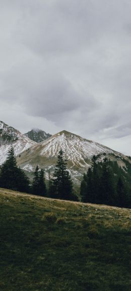 mountain, peak, forest, snow, trees, calm, pacification Wallpaper 720x1600