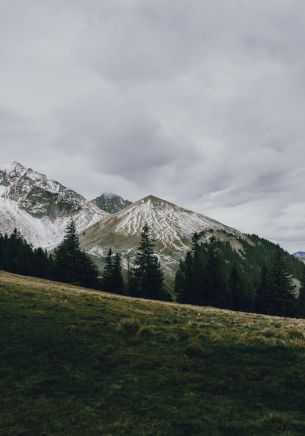 mountain, peak, forest, snow, trees, calm, pacification Wallpaper 1668x2388